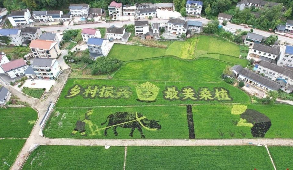 今年再次吸, 德国