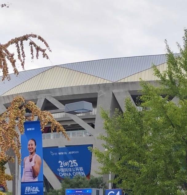 开启伤愈复, 决胜轮